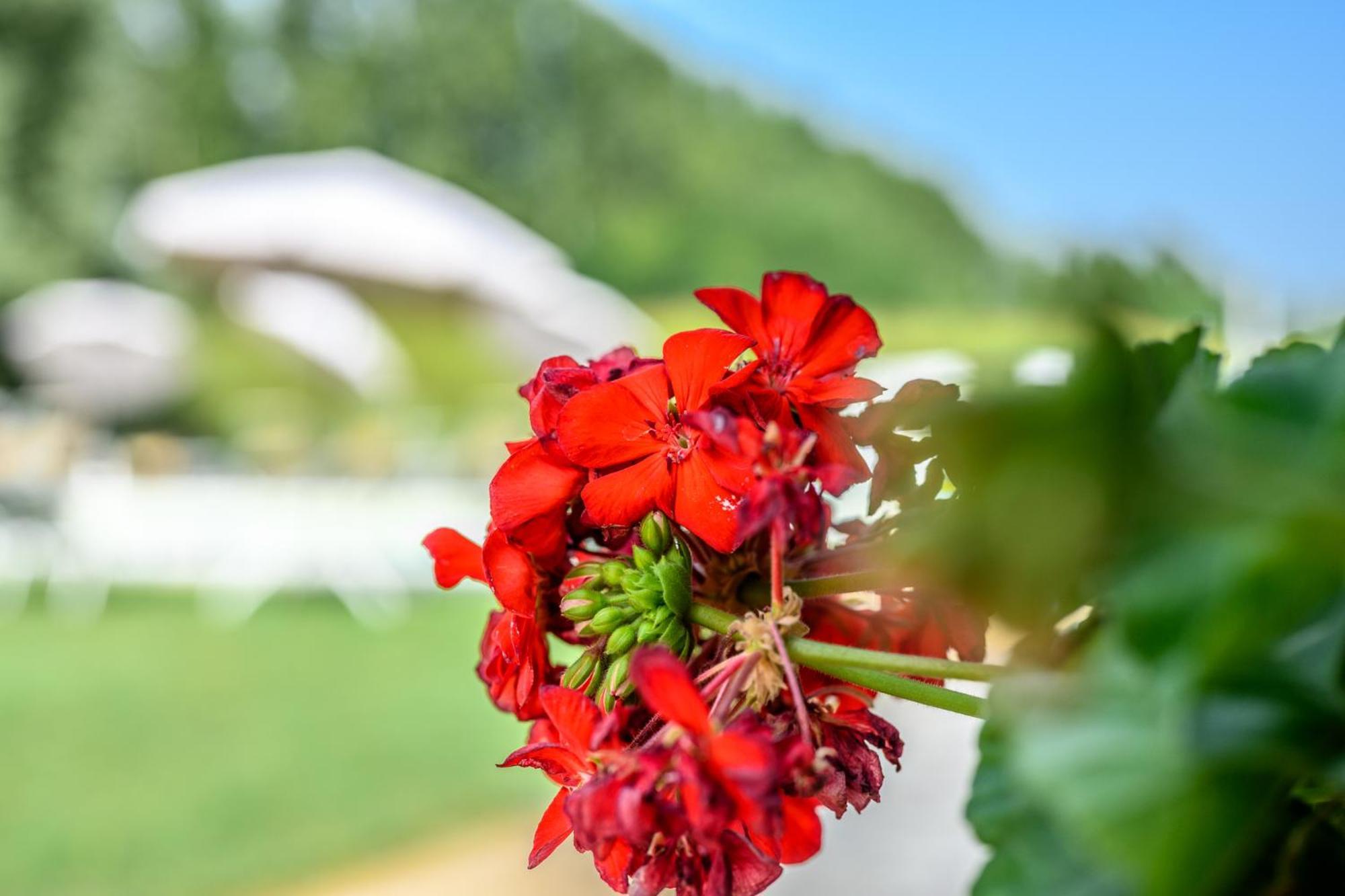 La Casa Di Valeria - Bed & Breakfast Modena